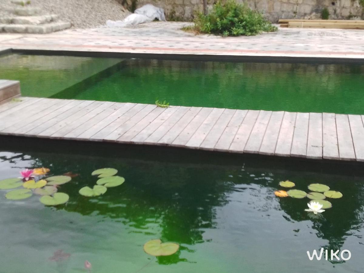 Gite Les Cabanes De Fallot Pour 15 Personnes - Piscine Naturelle L'isle-Bouzon Экстерьер фото