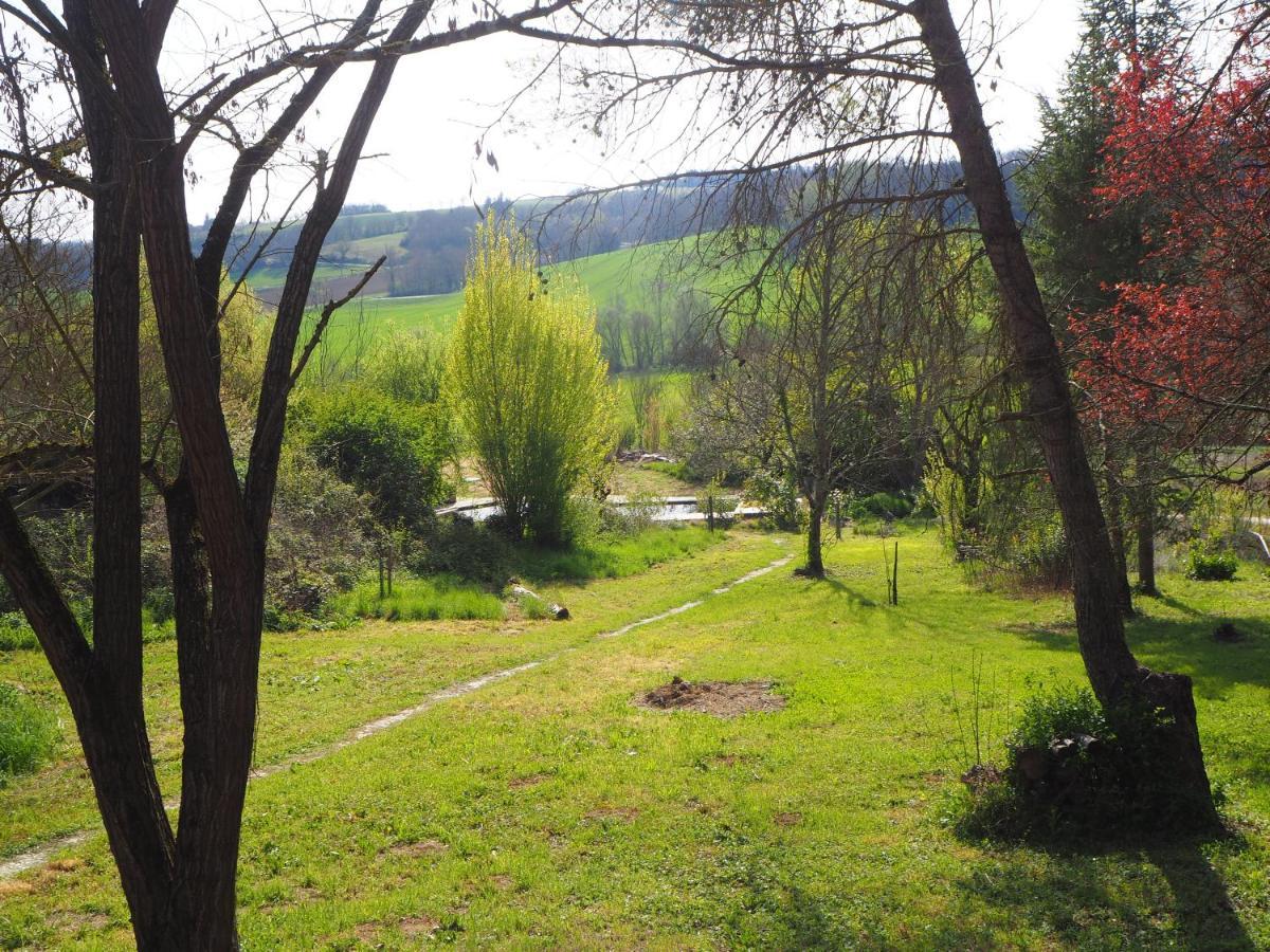 Gite Les Cabanes De Fallot Pour 15 Personnes - Piscine Naturelle L'isle-Bouzon Экстерьер фото